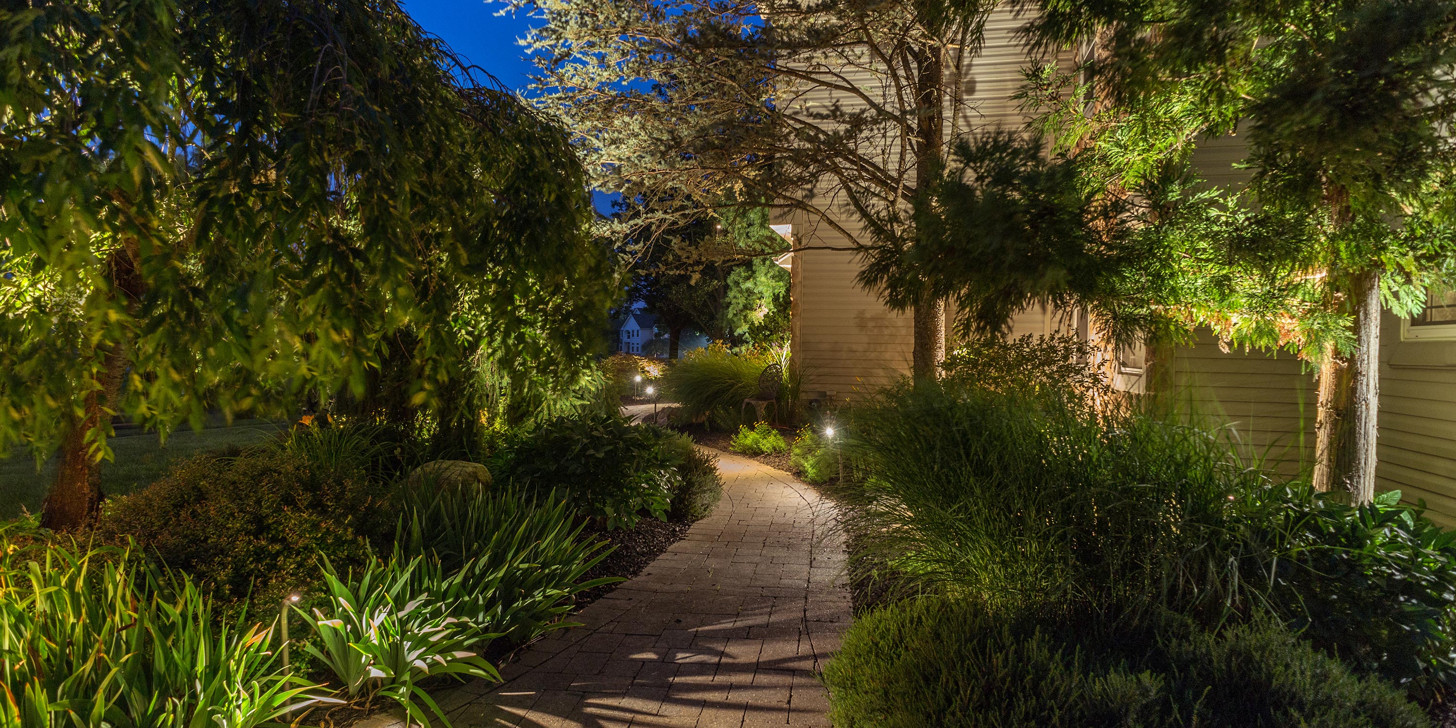 Illuminated garden pathway with lush greenery and landscape lighting.