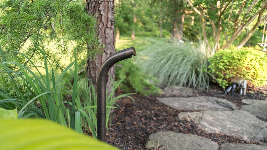 Outdoor landscape with lush greenery and a discreetly placed garden speaker.