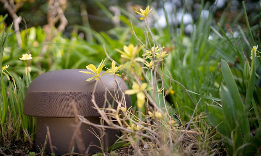 Outdoor landscape speaker hidden among plants for immersive audio.